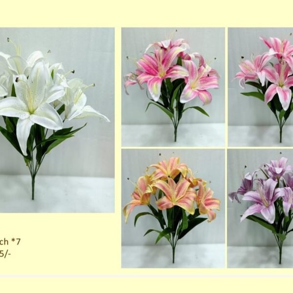 Lily Bunch *7