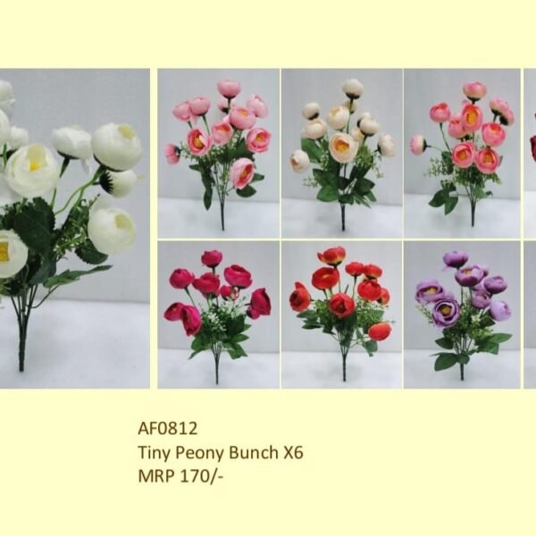 Tiny Peony Bunch X6