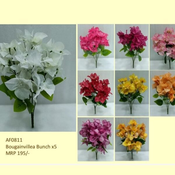 Bougainvillea Bunch x5