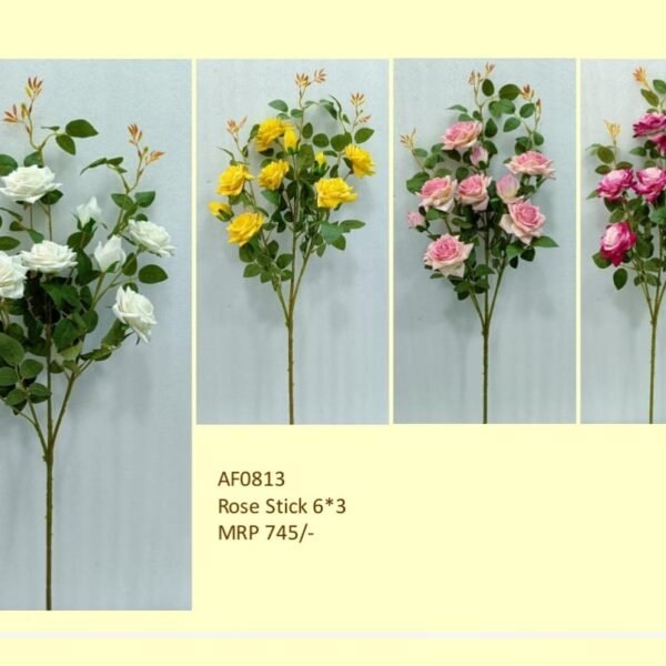 Rose Stick 6*3