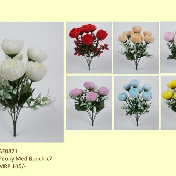 Peony Med Bunch x7