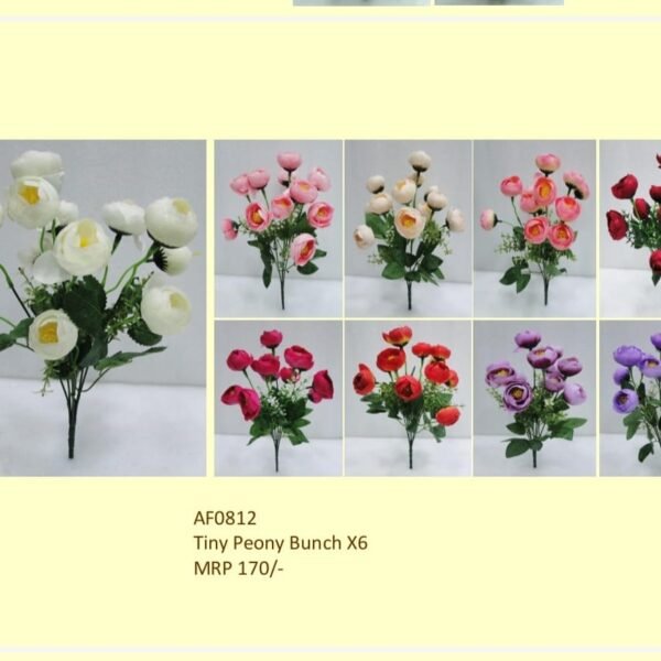 Tiny Peony Bunch X6