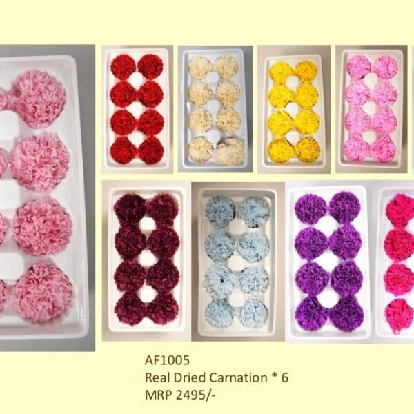 Real Dried Carnation * 6