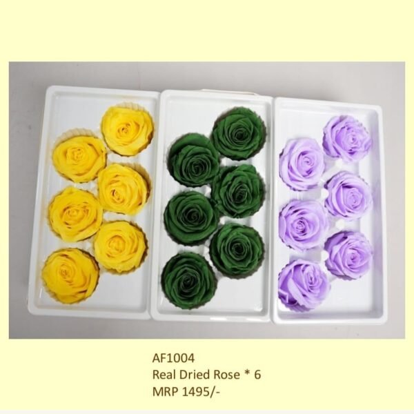 Real Dried Rose * 6