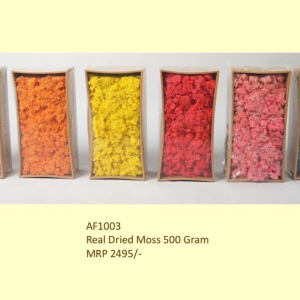 Real Dried Moss 500 Gram