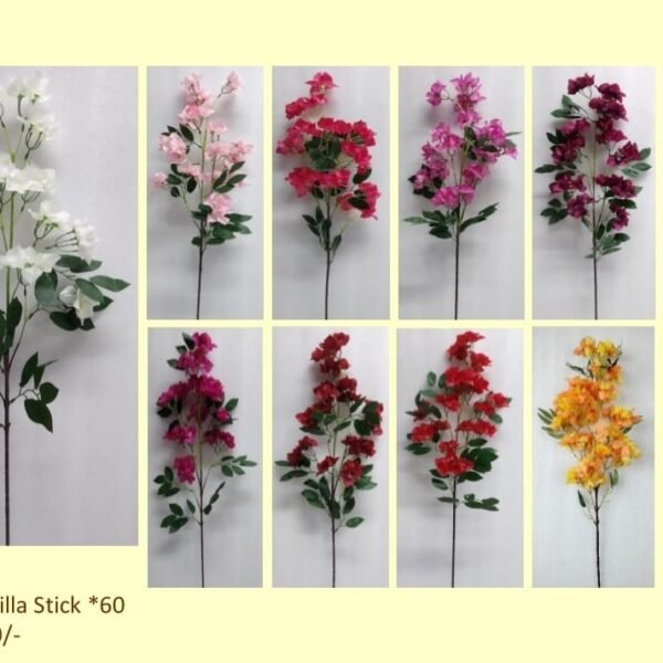 Bouganvilla Stick *60