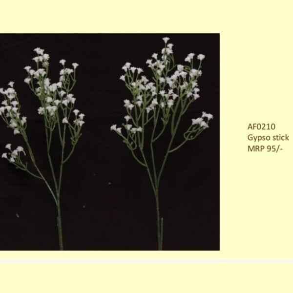 Gypso stick